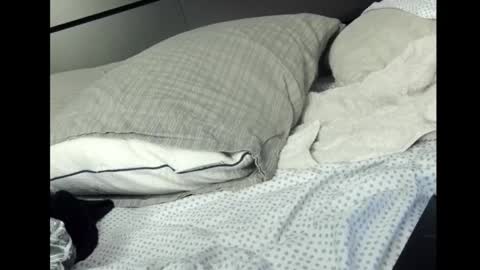 Snapshot of pockitrocket chatting on 2, 3, 2026 Rocket online show from 2, 3, 2026