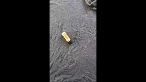 pocoloco0001 online show from 15, 4, 2026