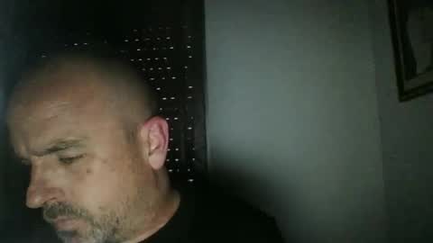 pocoyotop online show from 10, 1, 2025