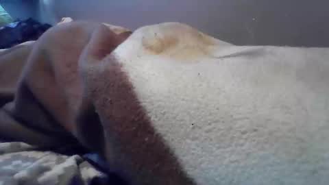 Snapshot of polishbigdick17 chatting on 29, 10, 2025 polishbigdick17 online show from 29, 10, 2025