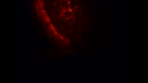 pollachico online show from 20, 11, 2025