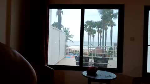 Snapshot of pollexxx66 chatting on 16, 12, 2025 Paul online show from 16, 12, 2025