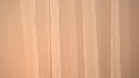    online show from 14, 1, 2026