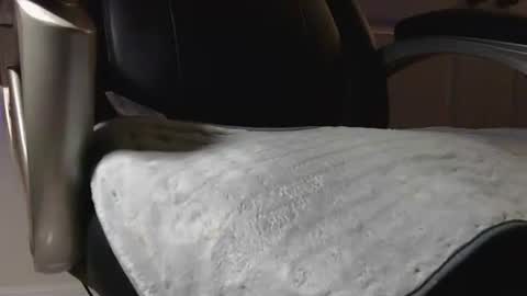 poppyntx online show from 20, 2, 2026