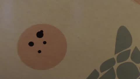 poseidonadventure88 online show from 18, 2, 2025