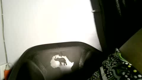 Snapshot of posh_studio1 chatting on 2, 4, 2026 luna online show from 2, 4, 2026