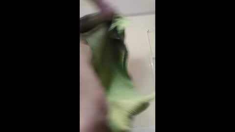Snapshot of potsymcstoner chatting on 12, 1, 2026 potsymcstoner online show from 12, 1, 2026
