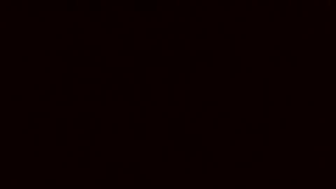 Rose online show from 2, 3, 2026