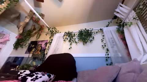 prettyblackgal online show from 27, 11, 2025