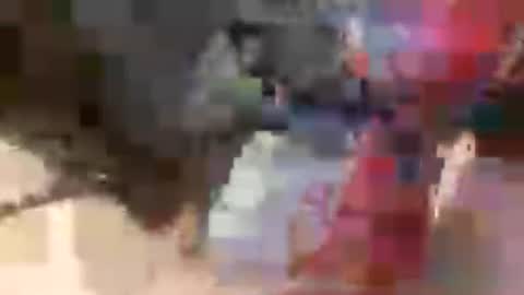 prettycock1981 online show from 5, 7, 2026