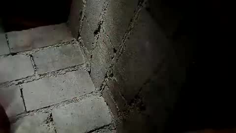 Snapshot of prettyneca5991 chatting on 19, 12, 2024 prettyneca5991 online show from 19, 12, 2024