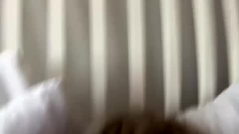 Prettiestpussy online show from 27, 9, 2025