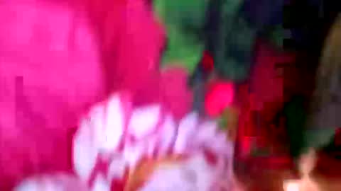 Snapshot of prettyrose01 chatting on 21, 4, 2026 prettyrose01 online show from 21, 4, 2026