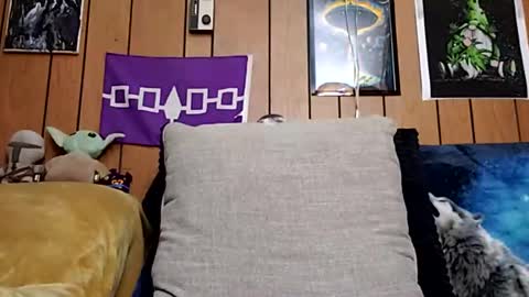 prettysolidd7 online show from 27, 1, 2025