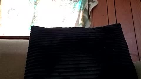 prettysolidd7 online show from 15, 2, 2025