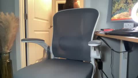 Snapshot of prettywap85 chatting on 28, 7, 2026 Discrete Pussy online show from 28, 7, 2026