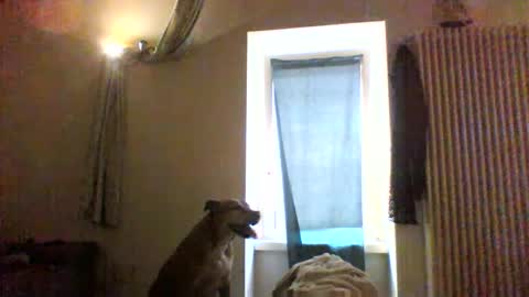 Snapshot of priante1983 chatting on 8, 1, 2026 BBW facial slave online show from 8, 1, 2026