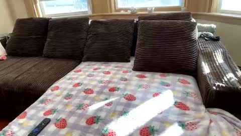 Snapshot of princ3ssarii chatting on 5, 12, 2025 Princess Arii online show from 5, 12, 2025