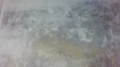 Snapshot of prince_edi chatting on 24, 5, 2026 Prince edi online show from 24, 5, 2026