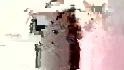 Snapshot of princeassahole chatting on 6, 10, 2025 Princess Asshole online show from 6, 10, 2025