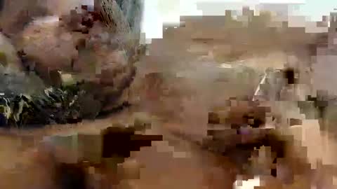 Snapshot of princeassahole chatting on 9, 10, 2025 Princess Asshole online show from 9, 10, 2025