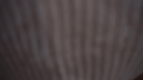 Snapshot of princessasiana chatting on 9, 2, 2025 Assi Incognito girl online show from 9, 2, 2025