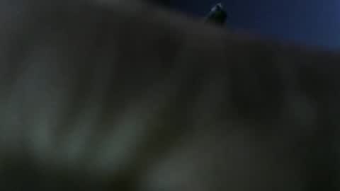 Snapshot of privatefuckit chatting on 5, 1, 2026 privatefuckit online show from 5, 1, 2026