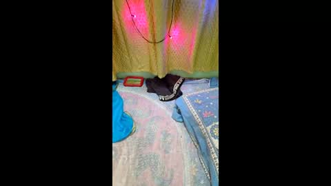 Snapshot of priyachocolaty chatting on 9, 2, 2026 priyachocolaty online show from 9, 2, 2026