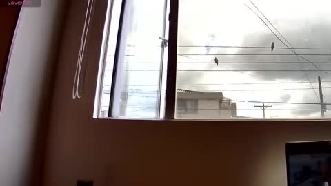 Snapshot of probardetodo chatting on 3, 12, 2025 Probardetodo independent model online show from 3, 12, 2025