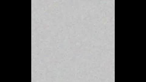 prostatepete online show from 1, 2, 2026