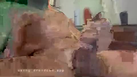 prostvteprince online show from 3, 12, 2025