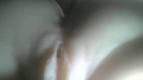 Snapshot of protecbuzz chatting on 3, 2, 2026 needtocum online show from 3, 2, 2026
