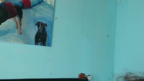 Snapshot of prxscillia_tx chatting on 6, 11, 2025 prxscillia_tx online show from 6, 11, 2025