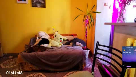 LUCY -----    online show from 3, 3, 2026