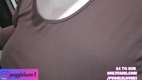 Snapshot of pugglelover chatting on 1, 2, 2025 Puggie - online show from 1, 2, 2025