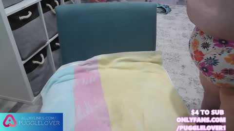 Snapshot of pugglelover chatting on 1, 3, 2025 Puggie - online show from 1, 3, 2025