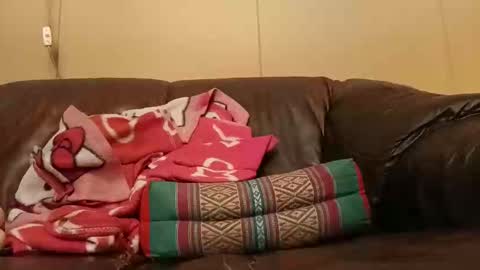 pulepower online show from 2, 11, 2025