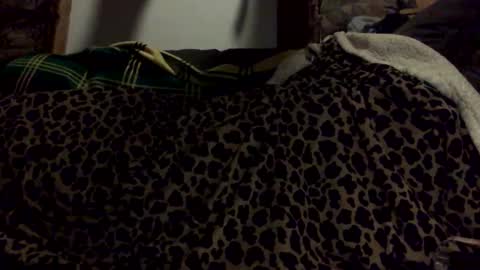 pumpslurrys online show from 29, 10, 2025