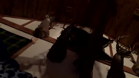 pumpslurrys online show from 22, 12, 2025