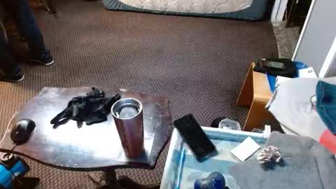 Snapshot of punkypapi chatting on 2, 4, 2026 Jojo online show from 2, 4, 2026