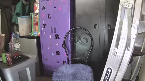 Mark online show from 7, 12, 2024