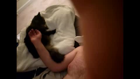 Snapshot of pussyisthreapy chatting on 18, 12, 2025 Sexthreeapy online show from 18, 12, 2025