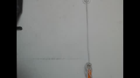 pussyxcockx online show from 7, 3, 2025