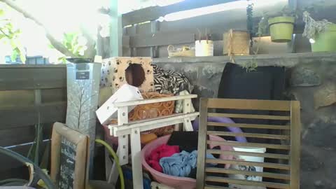 Snapshot of python974 chatting on 2, 1, 2025 Python online show from 2, 1, 2025