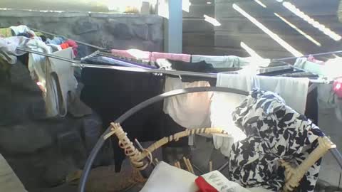 Snapshot of python974 chatting on 10, 1, 2025 Python online show from 10, 1, 2025