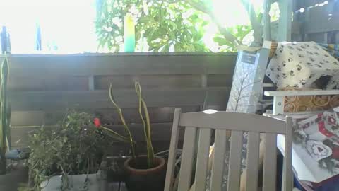 Snapshot of python974 chatting on 2, 2, 2025 Python online show from 2, 2, 2025