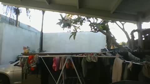 Snapshot of python974 chatting on 9, 10, 2025 Python online show from 9, 10, 2025