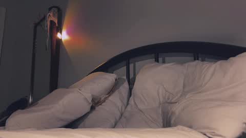 Snapshot of quack__quack chatting on 13, 12, 2024 online show from 13, 12, 2024