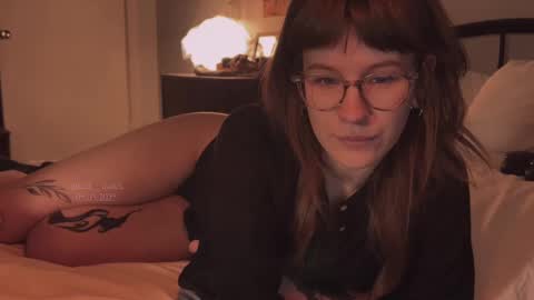 Snapshot of quack__quack chatting on 5, 3, 2025 online show from 5, 3, 2025