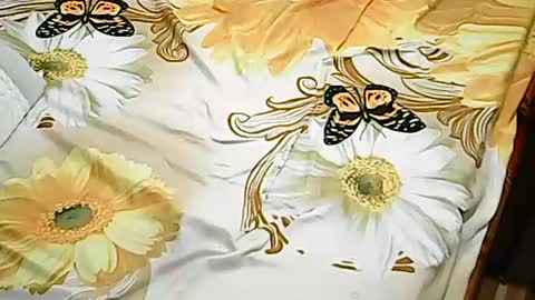 queen_ava05 online show from 2, 7, 2026